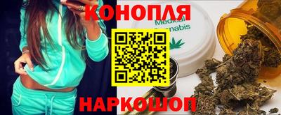 стафф Лесосибирск