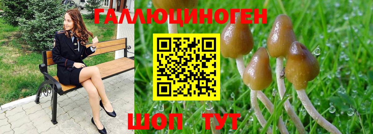 Галлюциногенные грибы Psilocybe  Вход с VPN  Донской  Псилоцибиновые грибы Magic Shrooms 